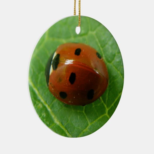 Aangepaste geboortedag in het Ladybug Keramisch Ornament (Rechts)