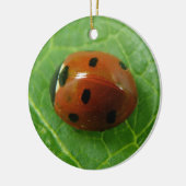 Aangepaste geboortedag in het Ladybug Keramisch Ornament (Links)