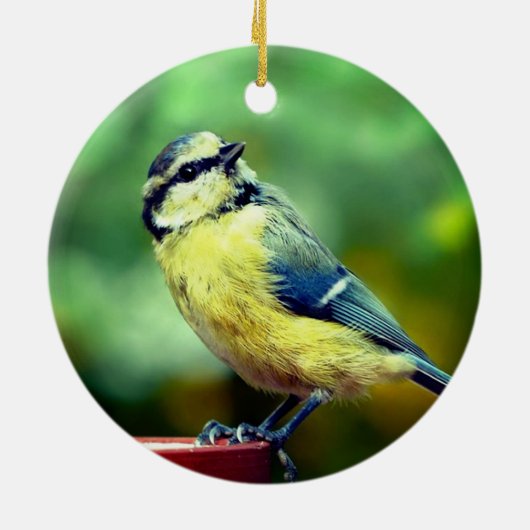 Aangepaste geel=borstvogel foto gepersonaliseerd keramisch ornament (Achterkant)