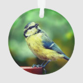 Aangepaste geel=borstvogel foto gepersonaliseerd ornament (achterkant)