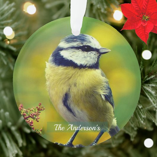 Aangepaste Geel-breasted Blue Chat Foto Ornament