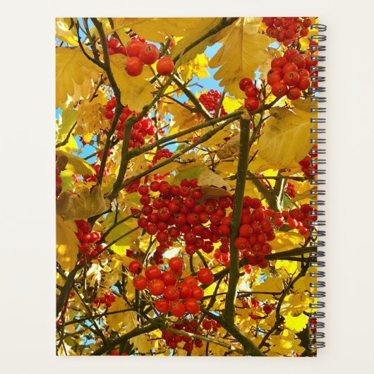 Aangepaste gele bladeren rode bessen boom kroon fo planner (Achterkant)