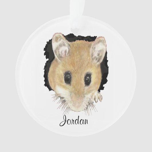 Aangepaste geluidsmuis die Waterverf vertrekt Ornament (voorkant)