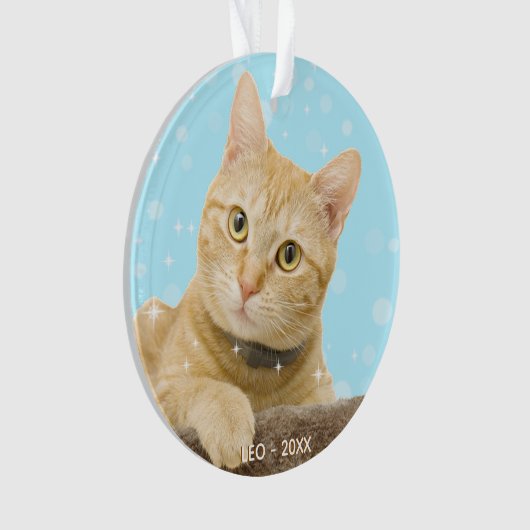 Aangepaste gember tabby kat foto ornament (voorkant)
