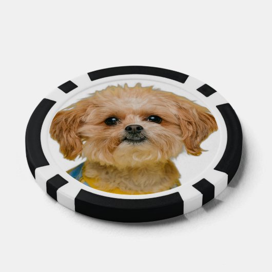 Aangepaste gepersonaliseerde casino foto poker chips (Enkel)