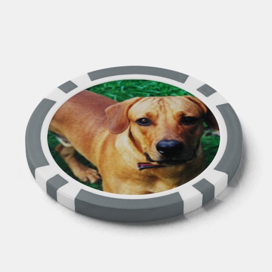 Aangepaste Gepersonaliseerde Casino Poker Chips (Enkel)