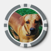 Aangepaste Gepersonaliseerde Casino Poker Chips (Voorkant)