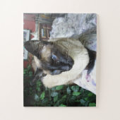 Aangepaste Gepersonaliseerde Foto Huisdier Familie Legpuzzel (Verticaal)