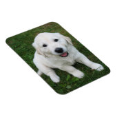 Aangepaste Gepersonaliseerde Foto I Pet Afbeelding Magneet (Rechterzijde)