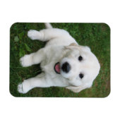 Aangepaste Gepersonaliseerde Foto I Pet Afbeelding Magneet (Horizontaal)