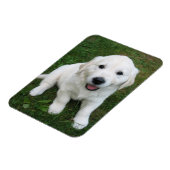 Aangepaste Gepersonaliseerde Foto I Pet Afbeelding Magneet (Linkerzijde)