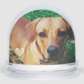Aangepaste Gepersonaliseerde Foto Pet Memorial Sneeuwbol (Voorkant)