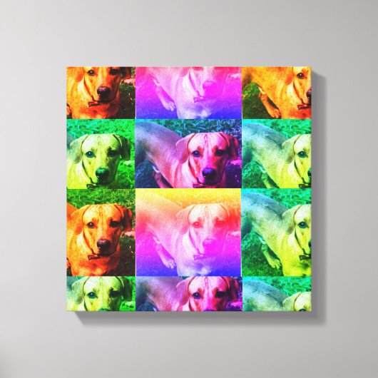 Aangepaste gepersonaliseerde foto Pop Art Canvas (Voorkant)