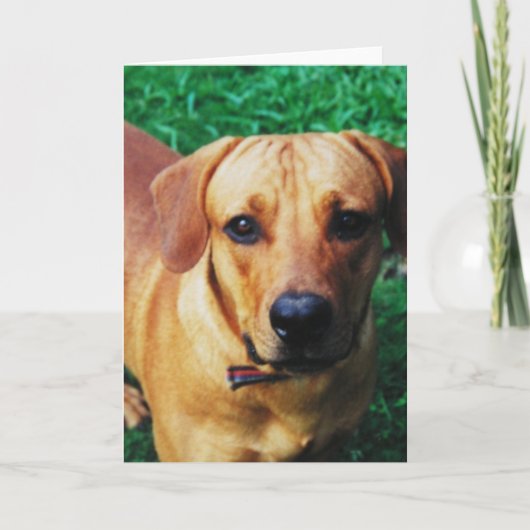 Aangepaste gepersonaliseerde fotobegroeting kaart (Voorkant)