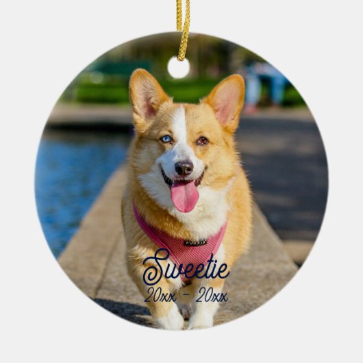 Aangepaste gepersonaliseerde herdenking kat hond f keramisch ornament (Voorkant)