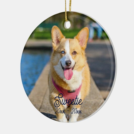 Aangepaste gepersonaliseerde herdenking kat hond f keramisch ornament (Links)
