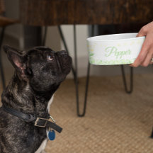 Aangepaste gepersonaliseerde hond Kat Pet Bowl Sch