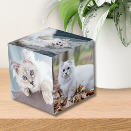Aangepaste Gepersonaliseerde Kat Keepsake Pet Foto Kubus
