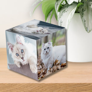 Aangepaste Gepersonaliseerde Kat Keepsake Pet Foto Kubus