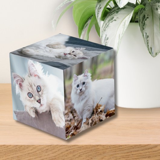 Aangepaste Gepersonaliseerde Kat Keepsake Pet Foto Kubus