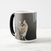 Aangepaste Gepersonaliseerde Kattenfoto Collage Ta Magische Mok (Voorkant links)