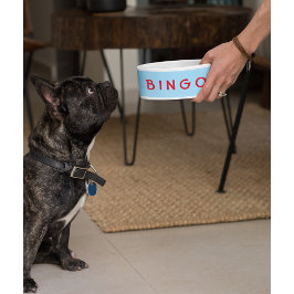 Aangepaste gepersonaliseerde Pet Dog Kat Naam Food Voerbakje