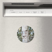 Aangepaste gesneden berkenboom magneet (Insitu (Vaatwasser))