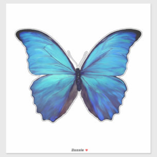 Aangepaste gesneden vinyl Stickers - 1 Blue Morpho