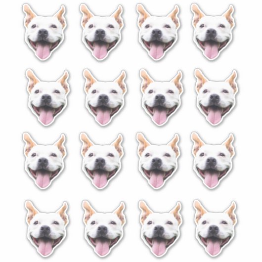 Aangepaste Gezicht Sticker, Gepersonaliseerd Honde Sticker (Voorkant)