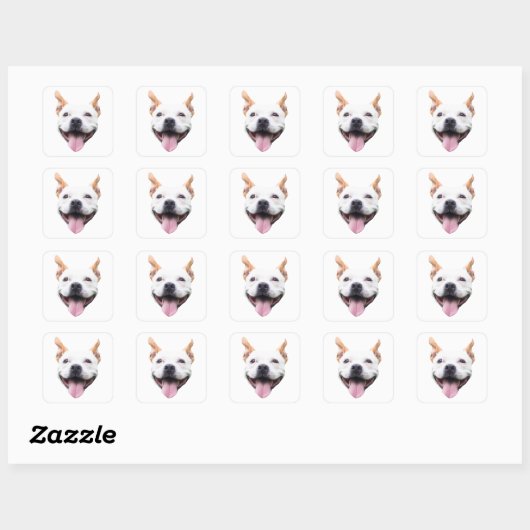 Aangepaste Gezicht Sticker, Gepersonaliseerd Honde Vierkante Sticker (Vel)