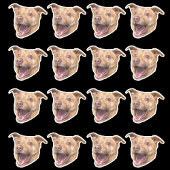 Aangepaste Gezicht Stickers, Foto Stickers, Sticke Sticker