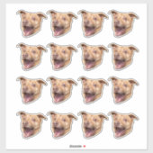 Aangepaste Gezicht Stickers, Foto Stickers, Sticke Sticker (Vel)