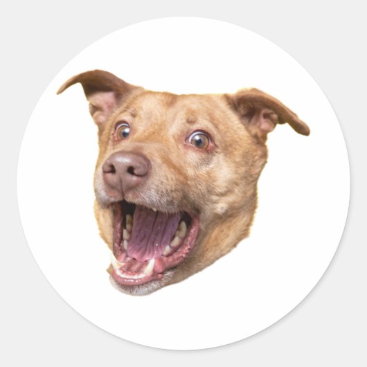 Aangepaste Gezicht Stickers Gepersonaliseerde Gezi (Voorkant)