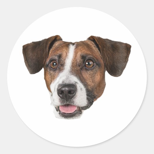 Aangepaste Gezicht Stickers Gepersonaliseerde Gezi (Voorkant)