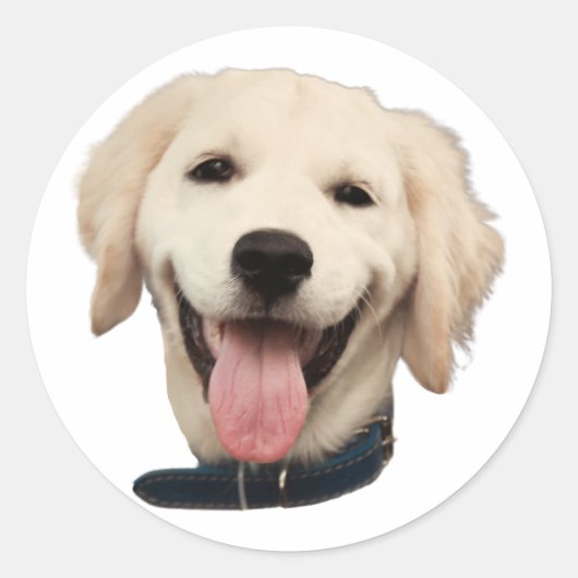 Aangepaste Gezicht Stickers Gepersonaliseerde Hond (Voorkant)