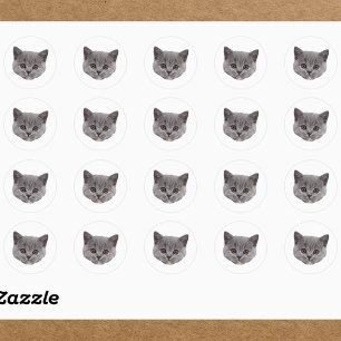 Aangepaste Gezicht Stickers Gepersonaliseerde Kat 