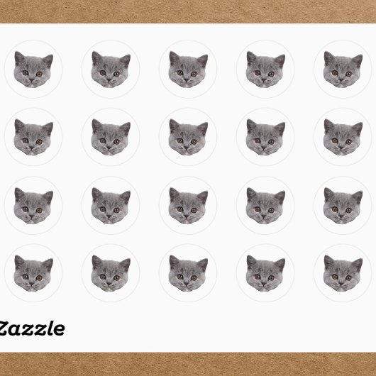 Aangepaste Gezicht Stickers Gepersonaliseerde Kat