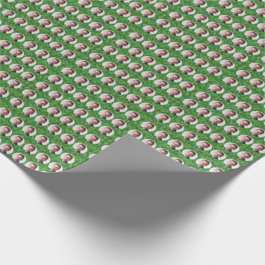 Aangepaste gezichten gras patroon cadeaupapier (Hoek)