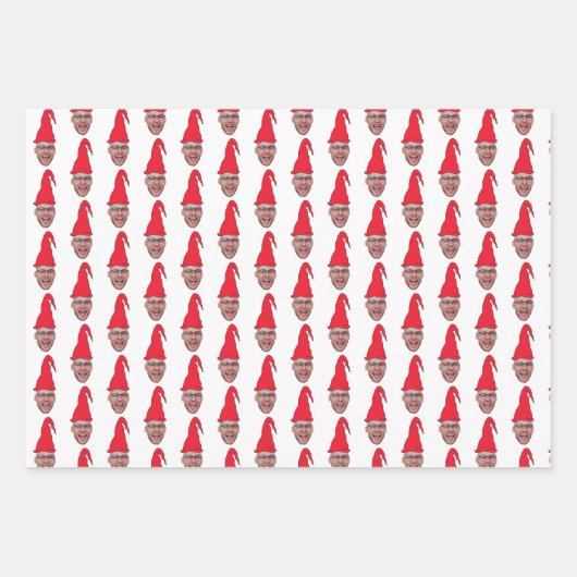 Aangepaste gezichtsfoto Elf gezicht Herhalend patr Inpakpapier Vel (Voorkant 3)