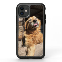 Aangepaste gezinsfoto met leuke Golden Retriever
