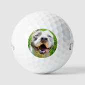 Aangepaste Golfballen Met Foto Van Je Hond Maak Je (Voorkant)