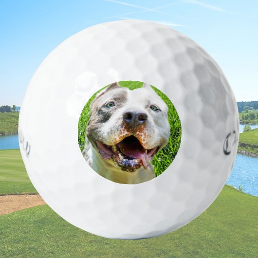 Aangepaste Golfballen Met Foto Van Je Hond Maak Je
