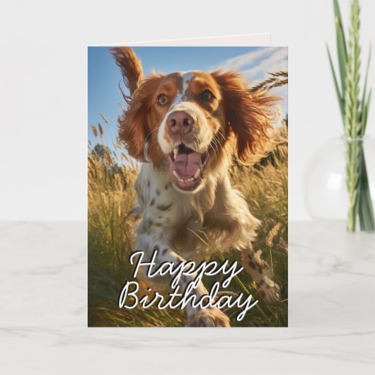 Aangepaste Gordon Setter Happy Birthday Kaart (Voorkant)