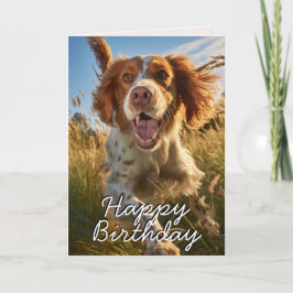 Aangepaste Gordon Setter Happy Birthday Kaart