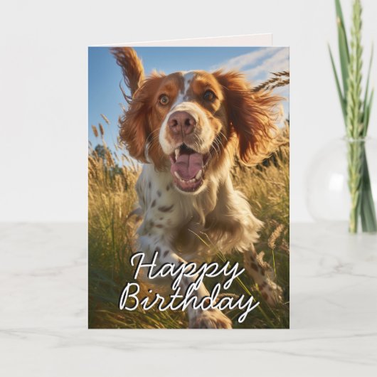 Aangepaste Gordon Setter Happy Birthday Kaart (Voorkant)