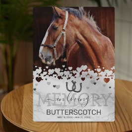 Aangepaste graf foto van een paard fotoplaat