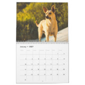 Aangepaste grappige hondenfotokalender kalender (Jan 2027)
