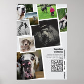 Aangepaste Great Dane Fotocollage Poster (Voorkant)