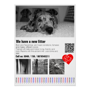 Aangepaste Great Dane Tear-Off Affiche Perfect Poster