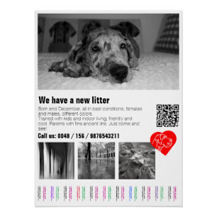 Aangepaste grote Daneshond-puppy Tear-Off Poster m